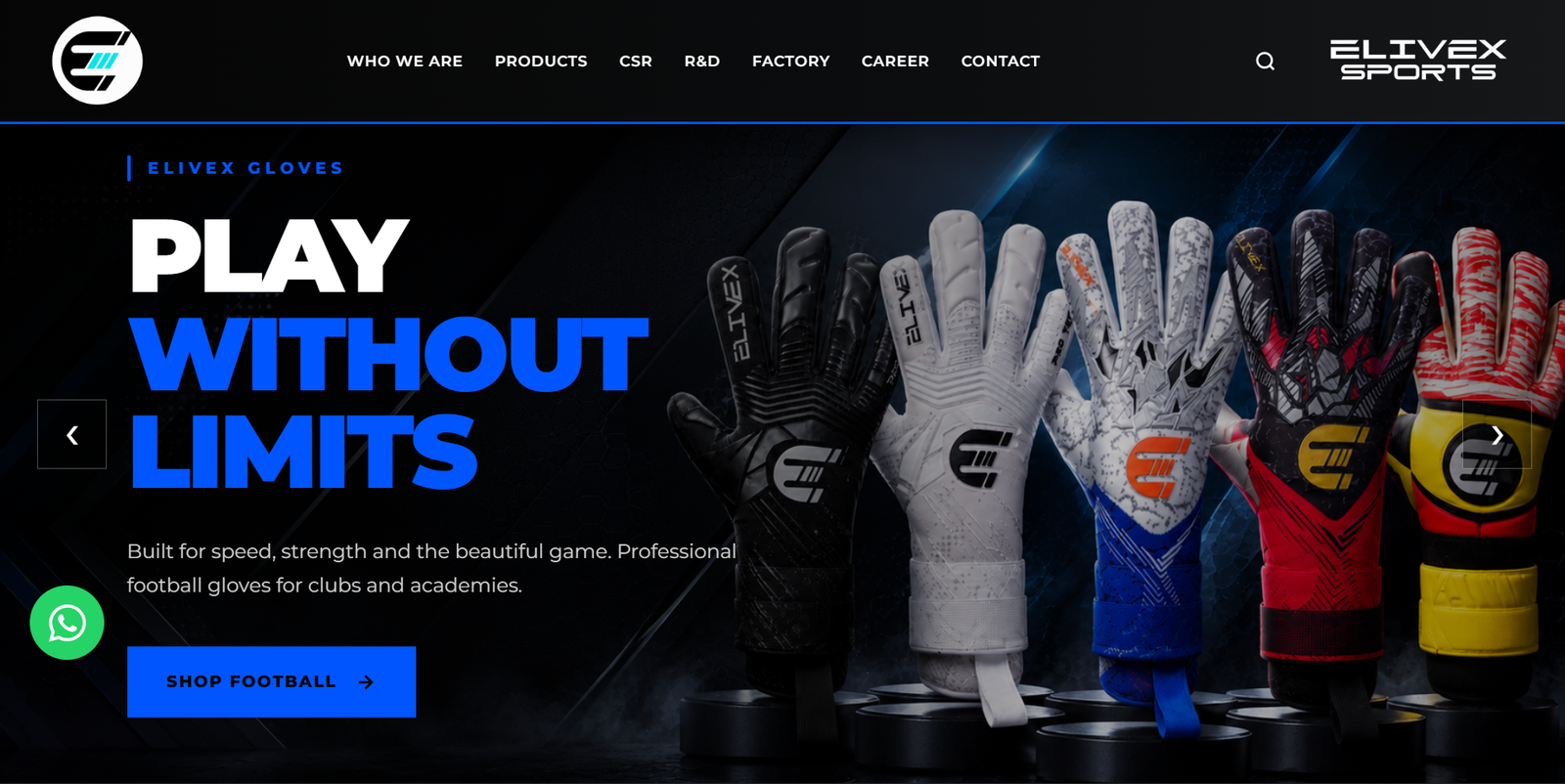 Elivex Sports Website